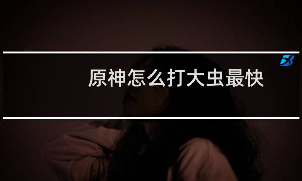 原神怎么打大虫最快