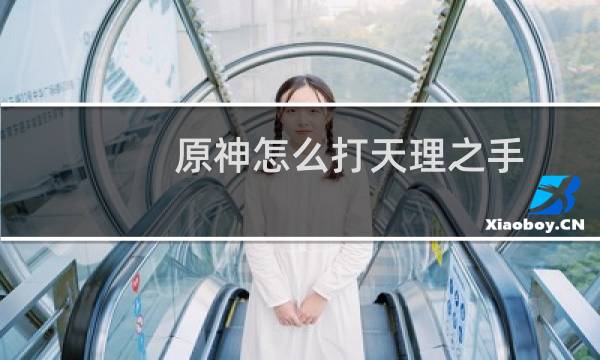 原神怎么打天理之手