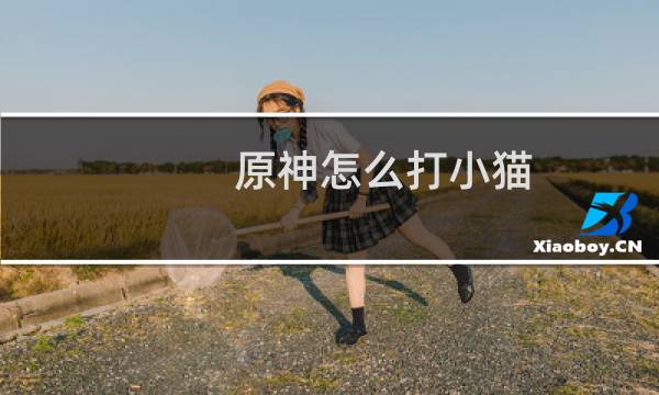 原神怎么打小猫