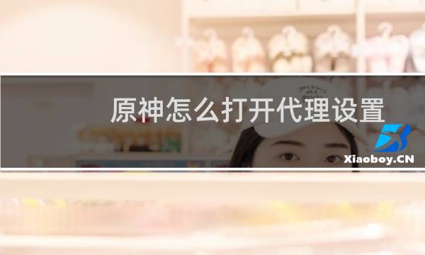 原神怎么打开代理设置