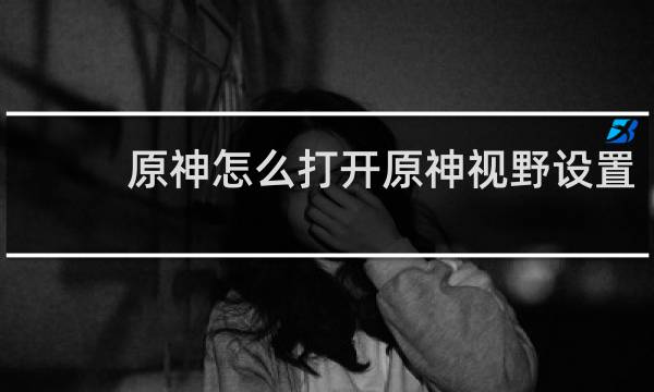 原神怎么打开原神视野设置
