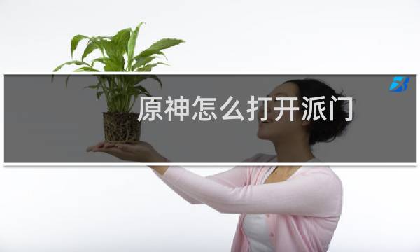 原神怎么打开派门