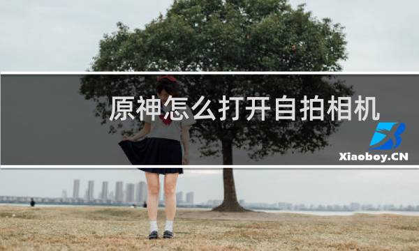 原神怎么打开自拍相机