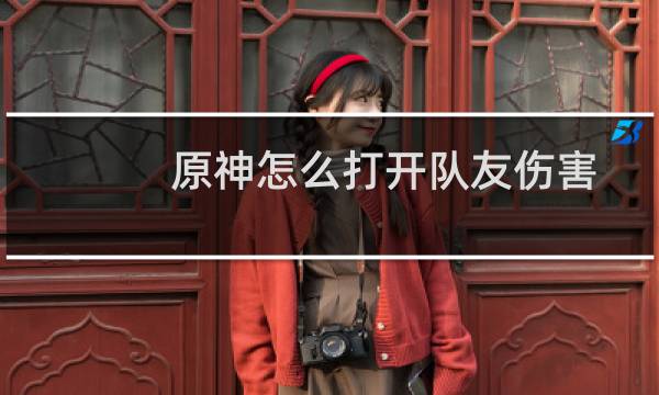 原神怎么打开队友伤害
