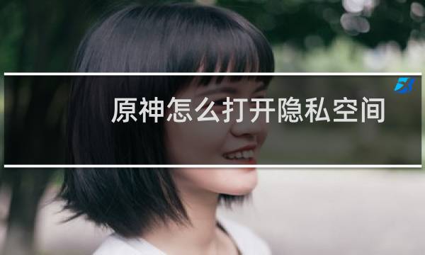 原神怎么打开隐私空间