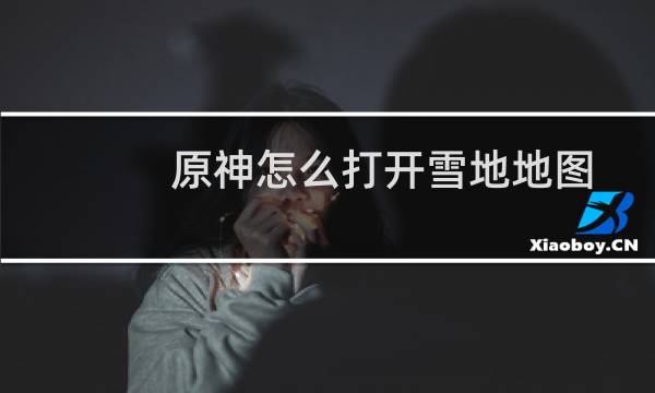 原神怎么打开雪地地图