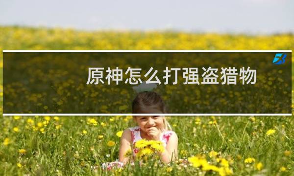 原神怎么打强盗猎物