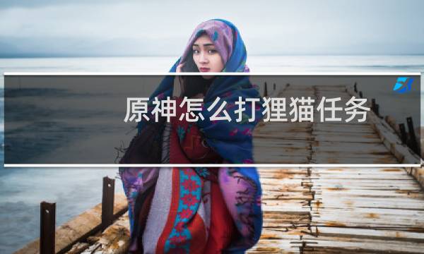 原神怎么打狸猫任务