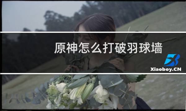 原神怎么打破羽球墙