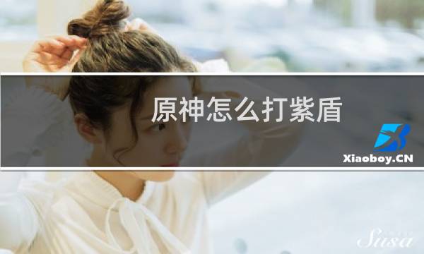 原神怎么打紫盾