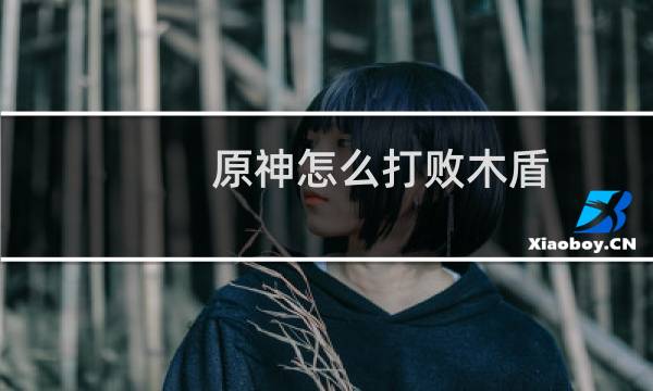 原神怎么打败木盾