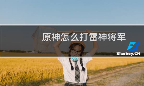原神怎么打雷神将军