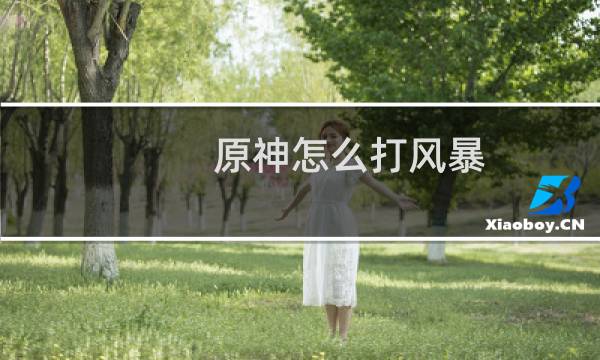 原神怎么打风暴