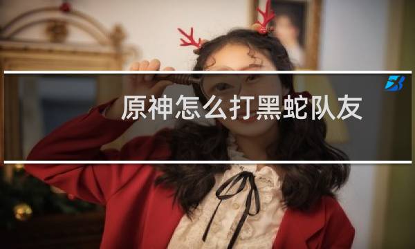 原神怎么打黑蛇队友