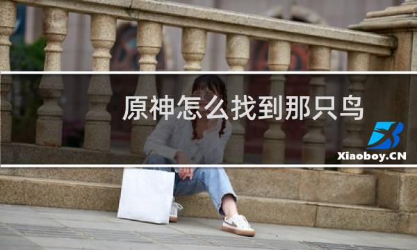 原神怎么找到那只鸟