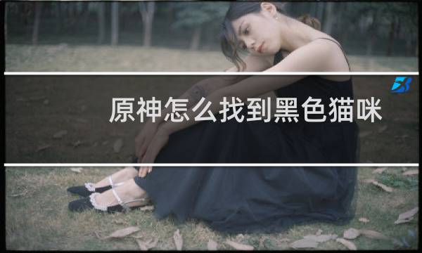 原神怎么找到黑色猫咪