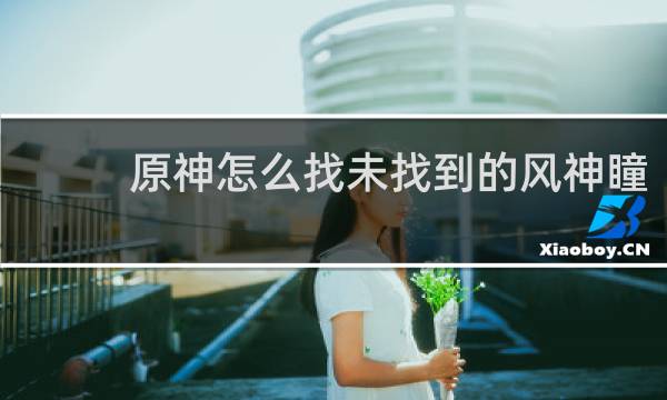 原神怎么找未找到的风神瞳
