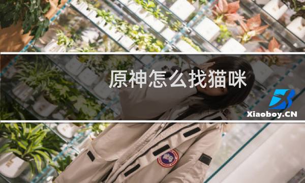 原神怎么找猫咪