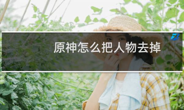 原神怎么把人物去掉