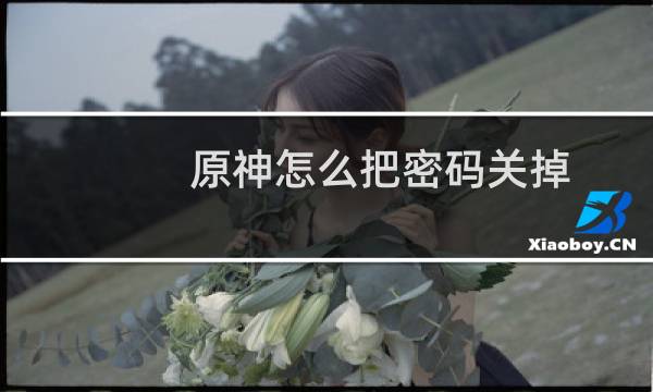 原神怎么把密码关掉