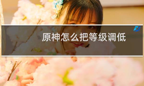 原神怎么把等级调低