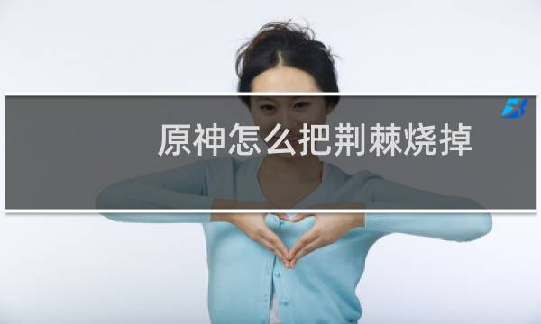原神怎么把荆棘烧掉
