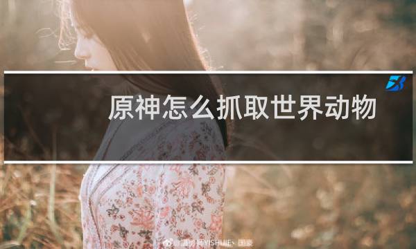 原神怎么抓取世界动物