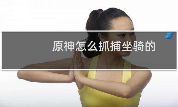 原神怎么抓捕坐骑的