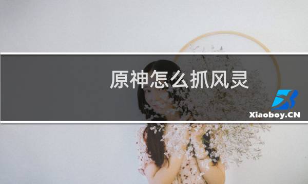 原神怎么抓风灵