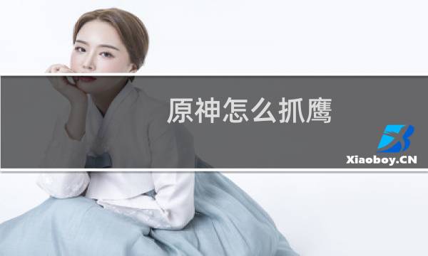 原神怎么抓鹰