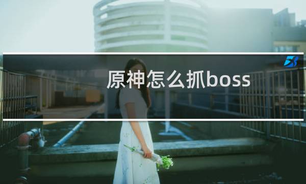 原神怎么抓boss