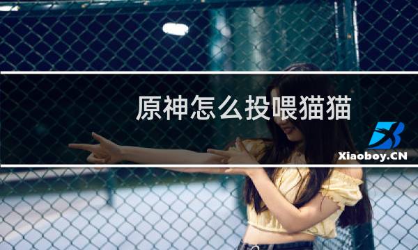 原神怎么投喂猫猫