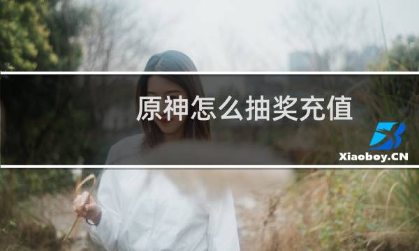原神怎么抽奖充值