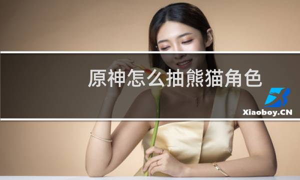 原神怎么抽熊猫角色