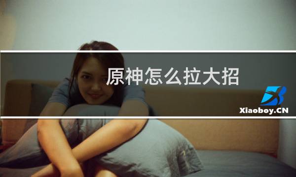 原神怎么拉大招