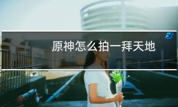 原神怎么拍一拜天地