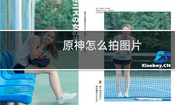 原神怎么拍图片