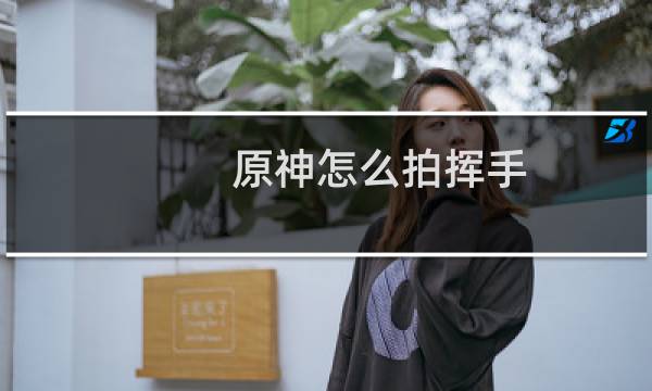 原神怎么拍挥手