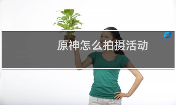 原神怎么拍摄活动