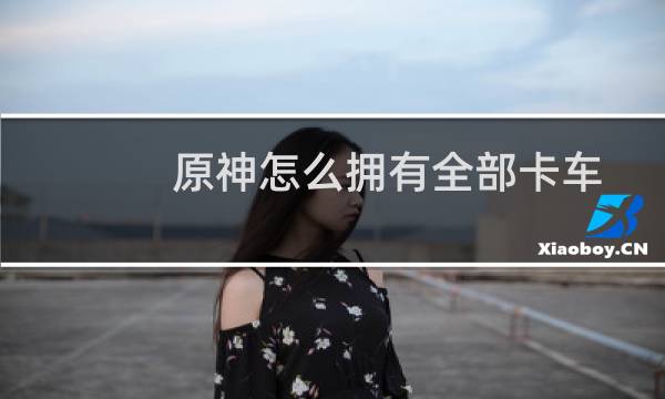原神怎么拥有全部卡车
