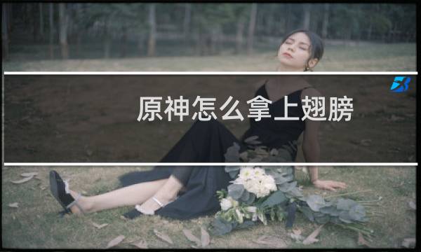 原神怎么拿上翅膀