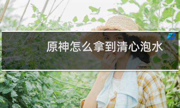 原神怎么拿到清心泡水