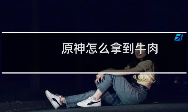 原神怎么拿到牛肉