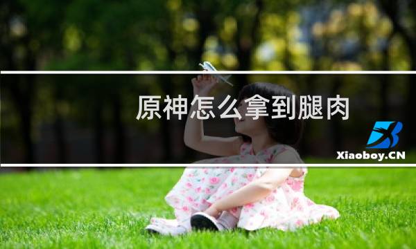 原神怎么拿到腿肉