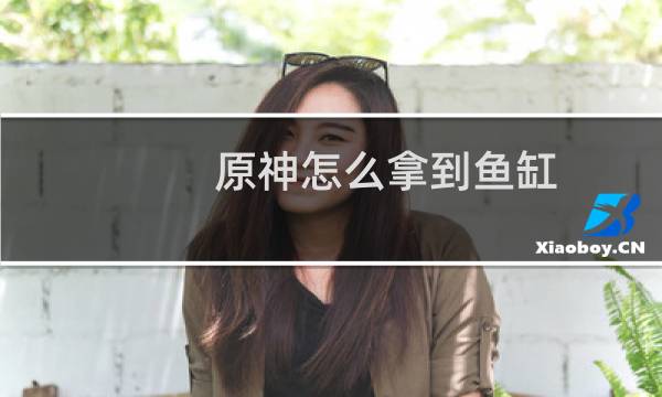 原神怎么拿到鱼缸