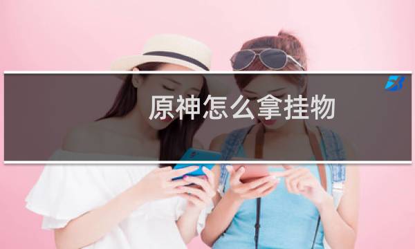 原神怎么拿挂物