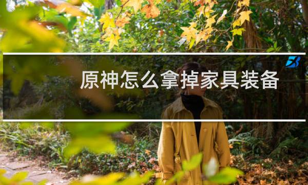 原神怎么拿掉家具装备