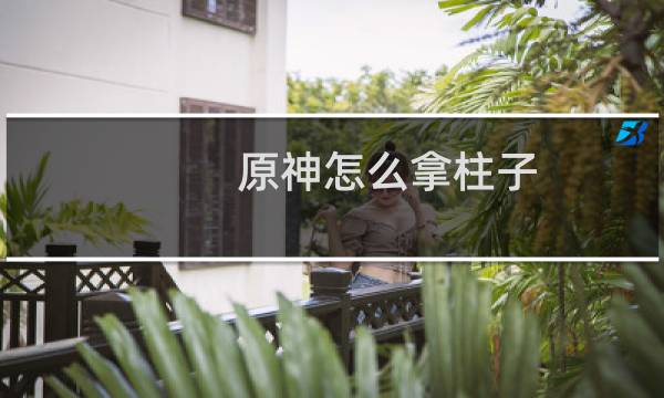 原神怎么拿柱子