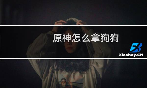 原神怎么拿狗狗