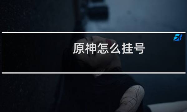 原神怎么挂号